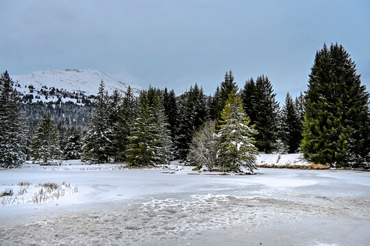 Lenzerheide, Valbella, Heidsee, Bergsee, Uferweg, Wanderweg, Winterwanderung, Langlauf, Loipe, Winterlandschaft, Seeufer, Alpen, Wald, Tannen, Eis, Winter, Graub&uuml;nden, Schweiz