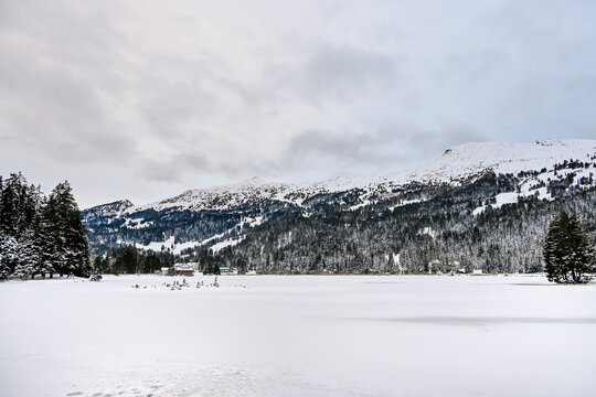 Lenzerheide, Valbella, Heidsee, Bergsee, Uferweg, Wanderweg, Winterwanderung, Langlauf, Loipe, Winterlandschaft, Seeufer, Alpen, Wald, Tannen, Eis, Winter, Graub&uuml;nden, Schweiz