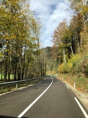 Fototapeta premium Beautiful road in autumn forest in Slovenia