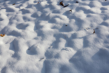 Fototapeta premium landscape with a ground covered in snow