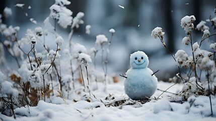 Snowman, Beautiful winter-spring landscape in an aesthetic style and in pastel blue-beige colors: postcard, screensaver, background, flowers, dried flowers, snow, frost and thaw (Ai generation)