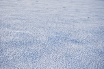 snow on the snow