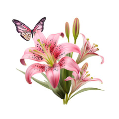 pink lily flower on the png transparent background, easy to decorate projects.