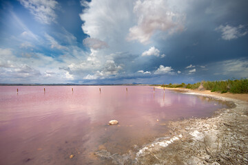 Vega Baja del Segura - El maravilloso color rosado del lago salado de Torrevieja