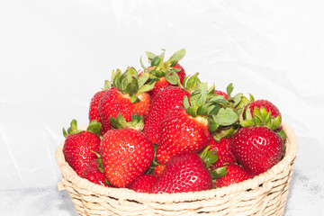 studio fresh strawberries