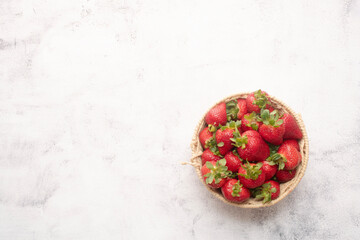 studio fresh strawberries