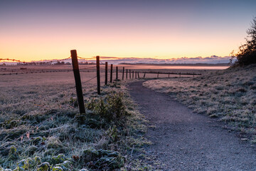 Fence and path in Westerland (Netherlands) under a layer of frost during a cold, misty December...