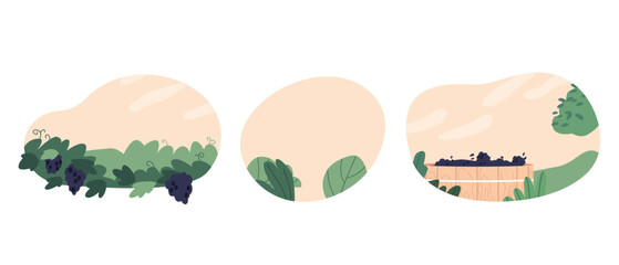 Rolling Hills With Neat Rows Of Lush Grapevines, Basking In The Golden Glow Of The Sun. A Tranquil Vineyard