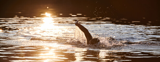 Triathlon athlete swimming on lake in sunrise wearing wetsuit