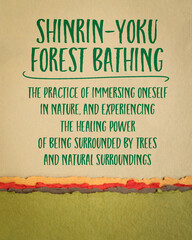 Japanese concept of shinrin-yoku - forest bathing, the practice of immersing oneself in nature, and experiencing the healing power of being surrounded by trees and natural surroundings.