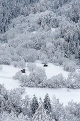 mountain landscape with snow, forest and some cabin in a field