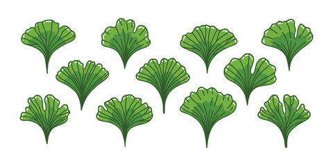 Botanical set of leaves ginkgo biloba tree. Abstract green leaf nature inspired