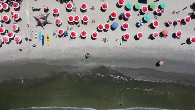 Guarda s&oacute;is na areia da praia da barra do sahy em sebasti&atilde;o, brasil