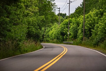 Carretera con líneas amarillas y vegetación frondosa