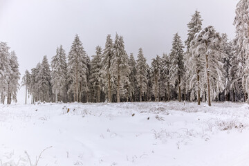 Kleine Winterwanderung im verschneiten Thüringer Wald bei Floh-Seligenthal - Thüringen - Deutschland
