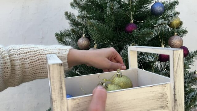 a woman removes Christmas shiny balls from a fir tree, cleaning after the holiday