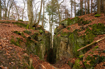 Fototapeta premium Devil Gorge at the Eifel, Teufelsschlucht with mighty boulders and canyon, hiking trail in Germany, sandstone rock formation, autumn 