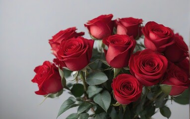Ramo de rosas rojas sobre fondo blanco 