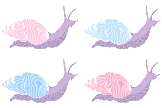 Set of snail silhouettes. Character snail. Vector graphics.