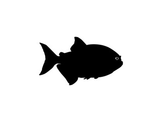 Piranha Fish Silhouette, can use for Logo Gram, Website, Art Illustration, Pictogram, Icon or Graphic Design Element. Vector Illustration
