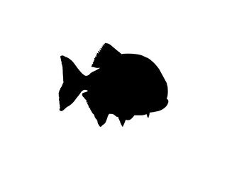 Piranha Fish Silhouette, can use for Logo Gram, Website, Art Illustration, Pictogram, Icon or Graphic Design Element. Vector Illustration
