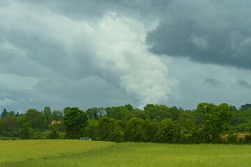 Thick smoke caused by combustion - a fire behind the forest.