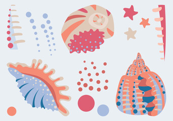 Sea shells and themed elements. Bright vector drawings on a white background
