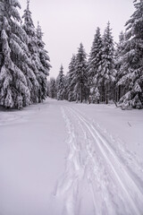 Fototapeta premium Kleine Winterwanderung durch den Tiefschnee im Thüringer Wald bei Oberhof - Thüringen - Deutschland
