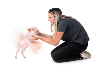 miniature pig and woman