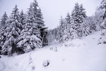 Kleine Winterwanderung durch den Tiefschnee im Thüringer Wald bei Oberhof - Thüringen - Deutschland