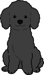 Simple and adorable black colored Poodle dog illustration sitting in front view
