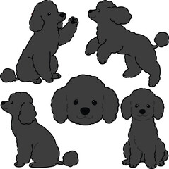 Simple and adorable black colored Poodle dog illustrations