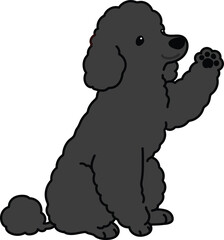 Simple and adorable black colored Poodle dog illustration waving hand