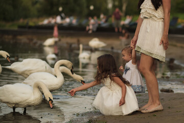 A child reaches out to a swan by the water, her curiosity alive; a woman holds a toddler close by. It speaks to our innate connection with animals and nature. - obrazy, fototapety, plakaty