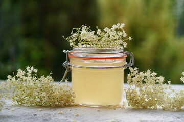 A jar of homemade elderberry flower syrup with fresh blooming plant, outdoors