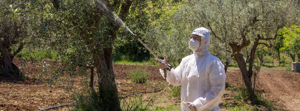 Image of a farmer wearing a protective suit while using a pump to spray pesticides on some plants. Use of chemicals in agriculture