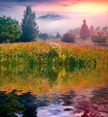 Blooming mountain valley reflected in the calm waters of small lake. Fabulous summer sunrise on...