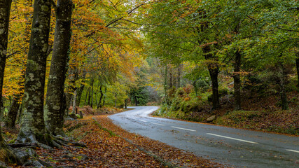 Obraz premium Autumn landscape at Geres National Park