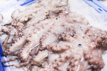 Octopus tentacle on ice. Seafood background. Supermarket seafood shopping. Raw fresh octopus chilled in ice. Blue transportation box with ice.
