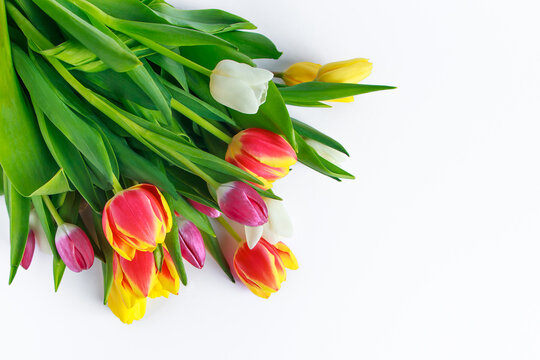 Colorful bouquet of fresh spring tulips on white background. Happy Easter.