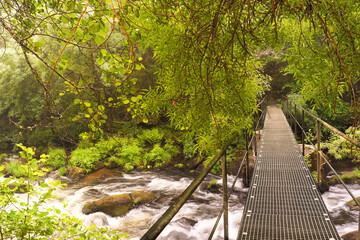 A metal bridge over a mighty river in a lush forest.
