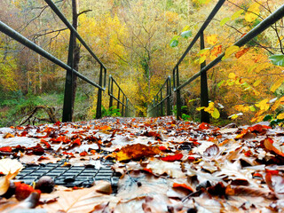 A metal bridge over a mighty river in a lush forest.