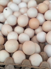 chicken eggs display in market