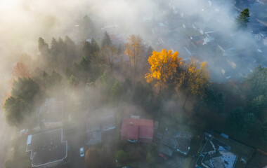 Neighborhood streets and homes covered in fog.