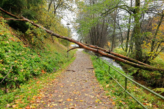 Abgebrochener Baum liegt über einem Fußweg