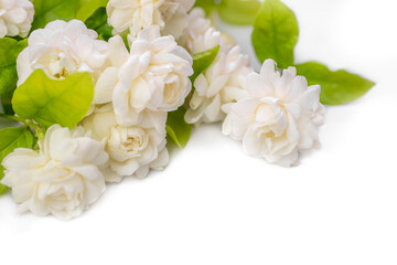 White Jasmine flowers on white background. Spring flower background. Flat lay, top view, copy space..