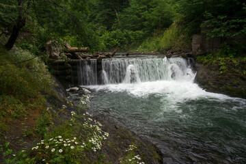 Obraz premium Waterfall on the Molchepa River on the territory of the Caucasian Biosphere Reserve, Guzeripl cordon, Maikop district, Republic of Adygea, Russia