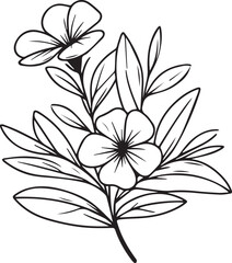 Vector sketch of flowers. periwinkle line drawings, hand-painted madagascar periwinkle wall art, botanical vinca wall art, simple periwinkle drawing, noyontara stock outline drawing, periwinkle flower