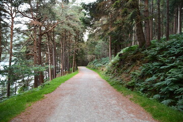 Glendalough National Park, Co. Wicklow