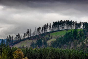 Tree lined hills side under cloudy skie in the Cascade Range in Oregon